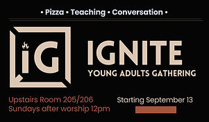 Ignite -YA.jpg