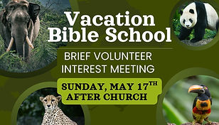 VBS VOLUNTEER (3) (1).jpg