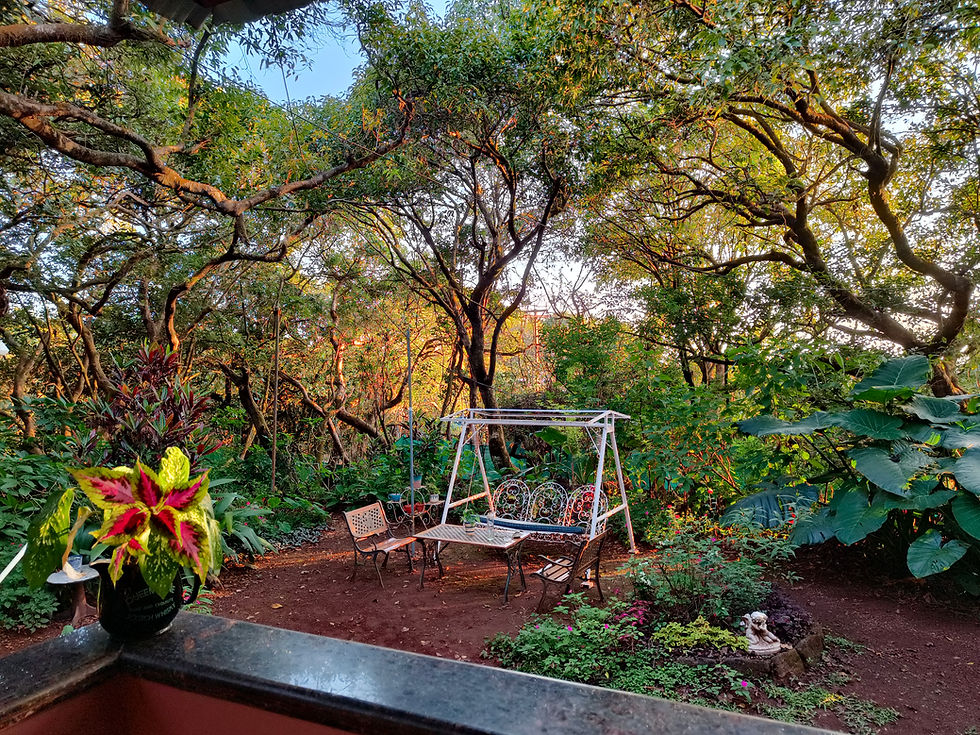 Garden with swing.jpg