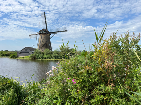 Kinderdijk