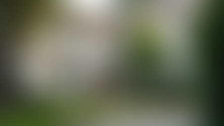 Ensure Property Value with Property Upkeep Services