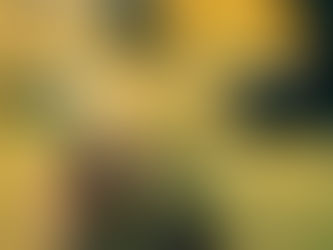 Exploring the Truth Behind Professional Photography: Debunking 7 Common Misconceptions