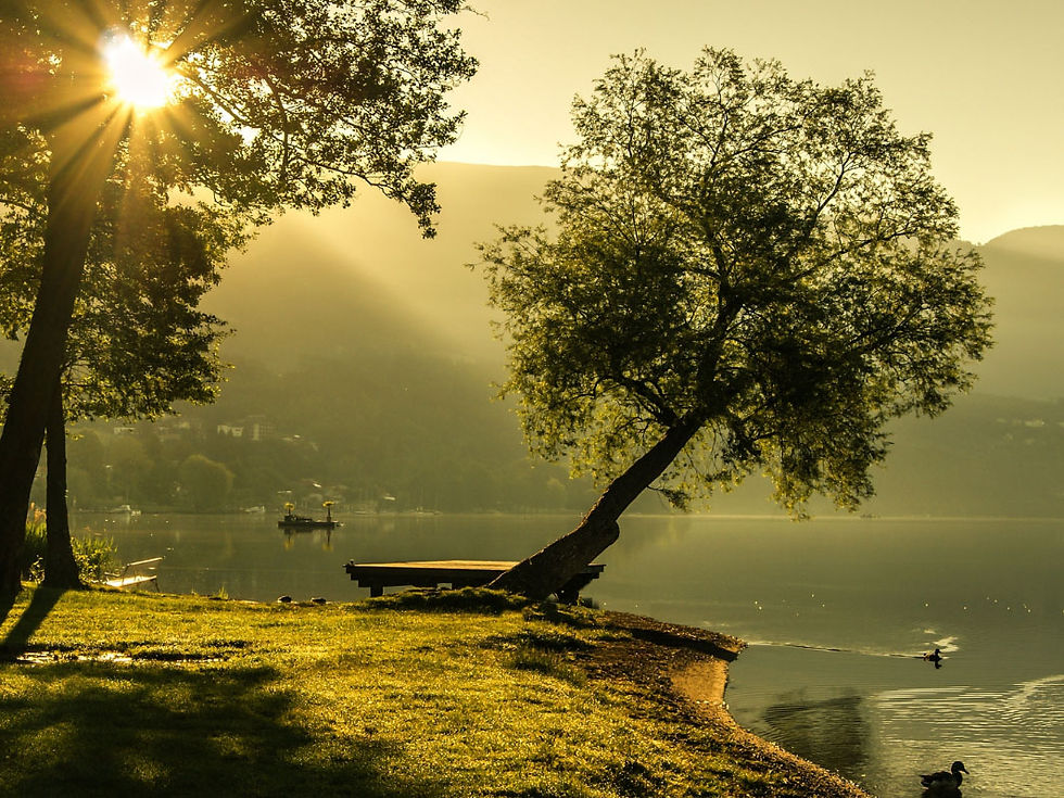 Photography Tips Harvesting Natural Light