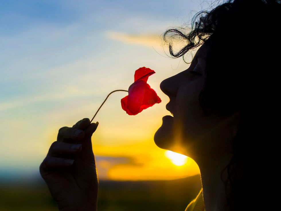 Photography Tips Storytelling Through Photography