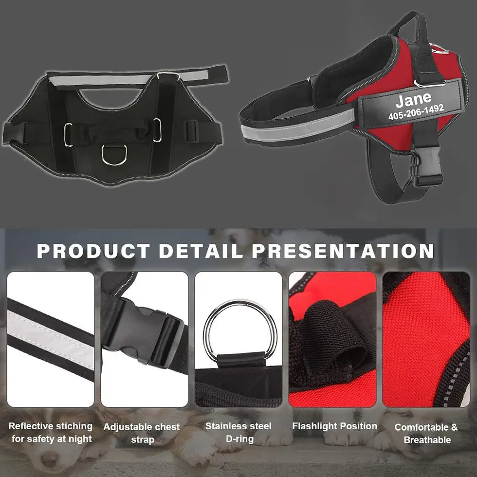 Thumbnail: Personalized Dog Harness Reflective Adjustable