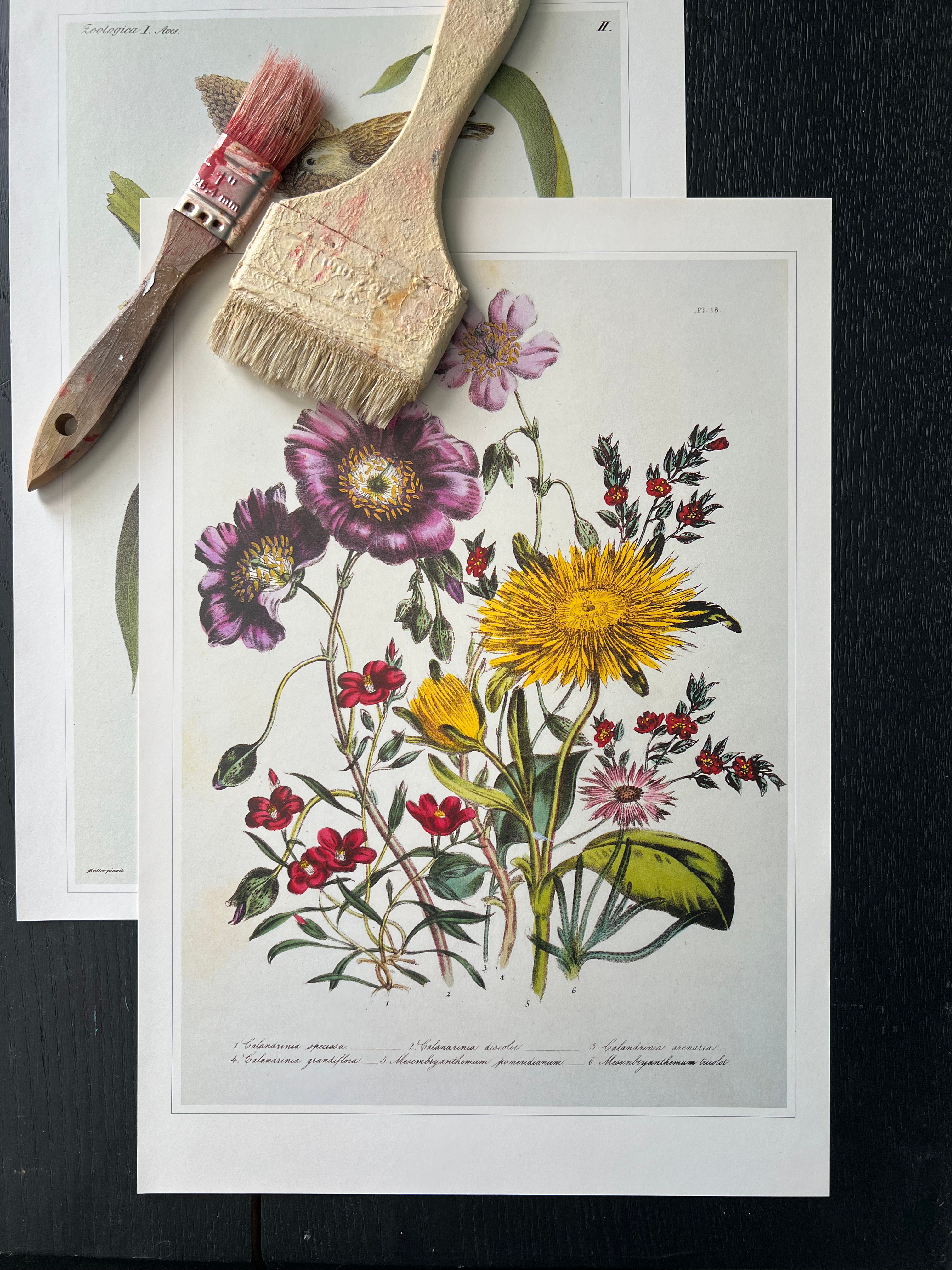 "Ornamental Flower" Print