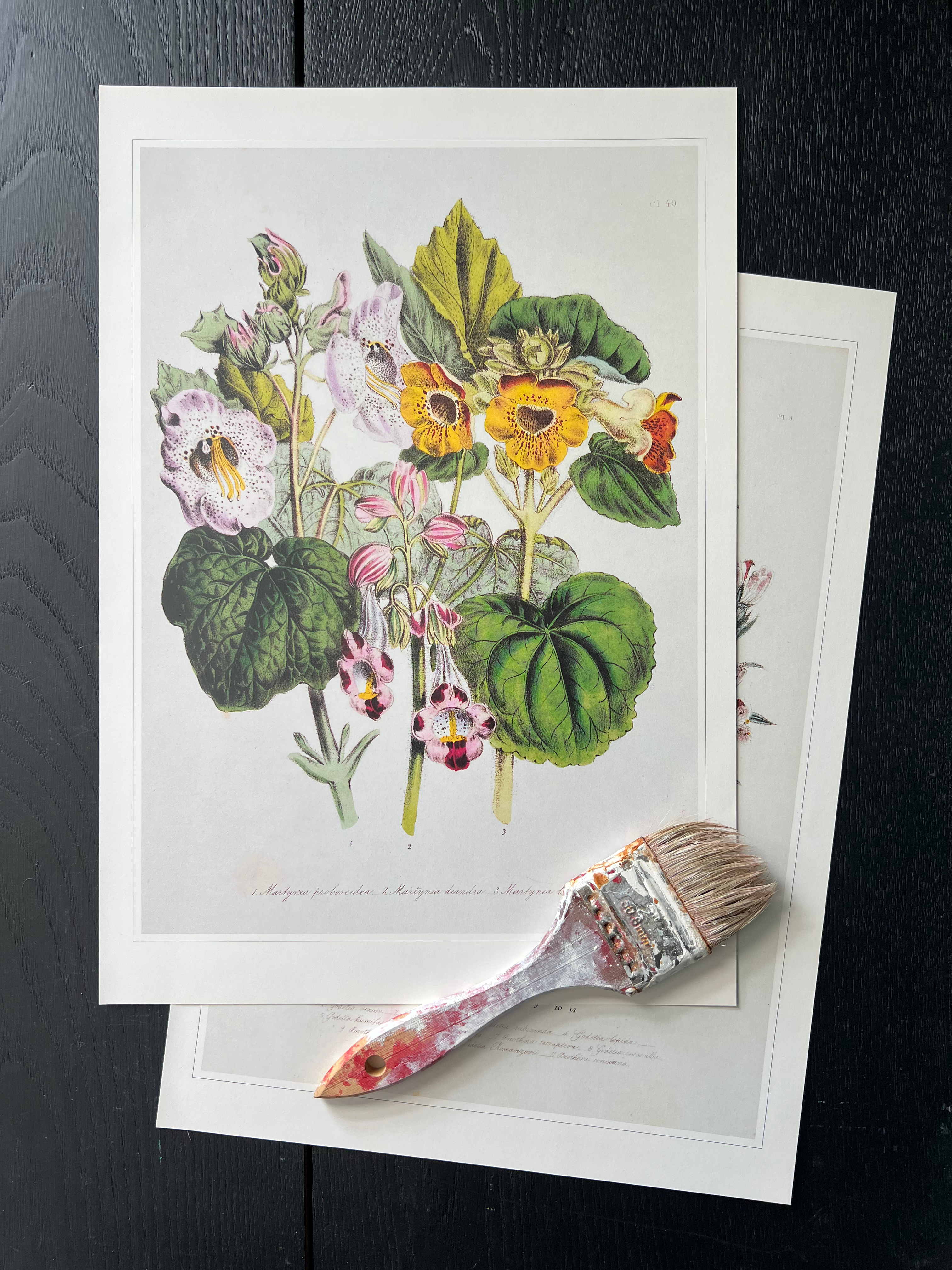 "Ornamental Flower" Print