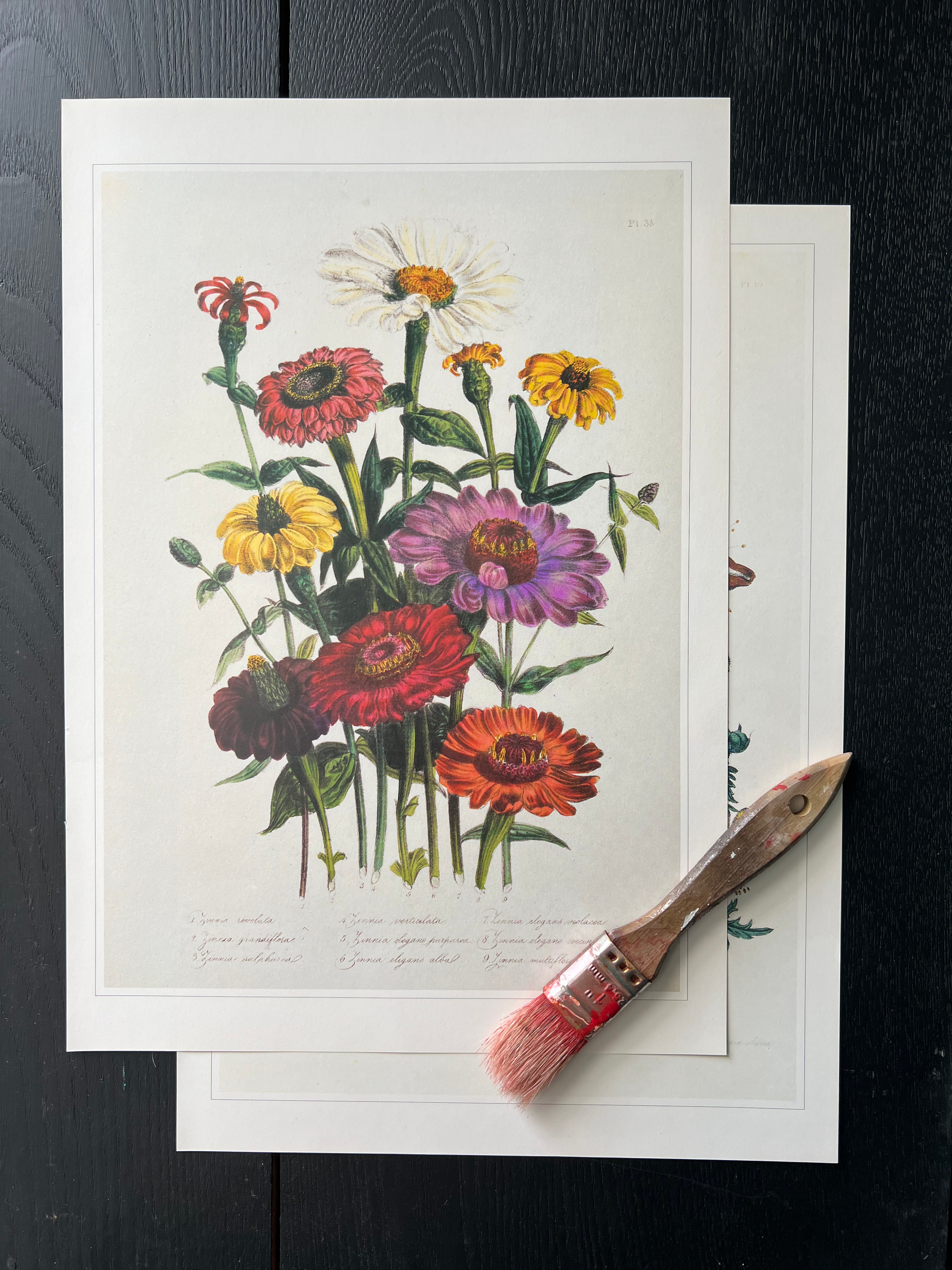 "Ornamental Flower" Print
