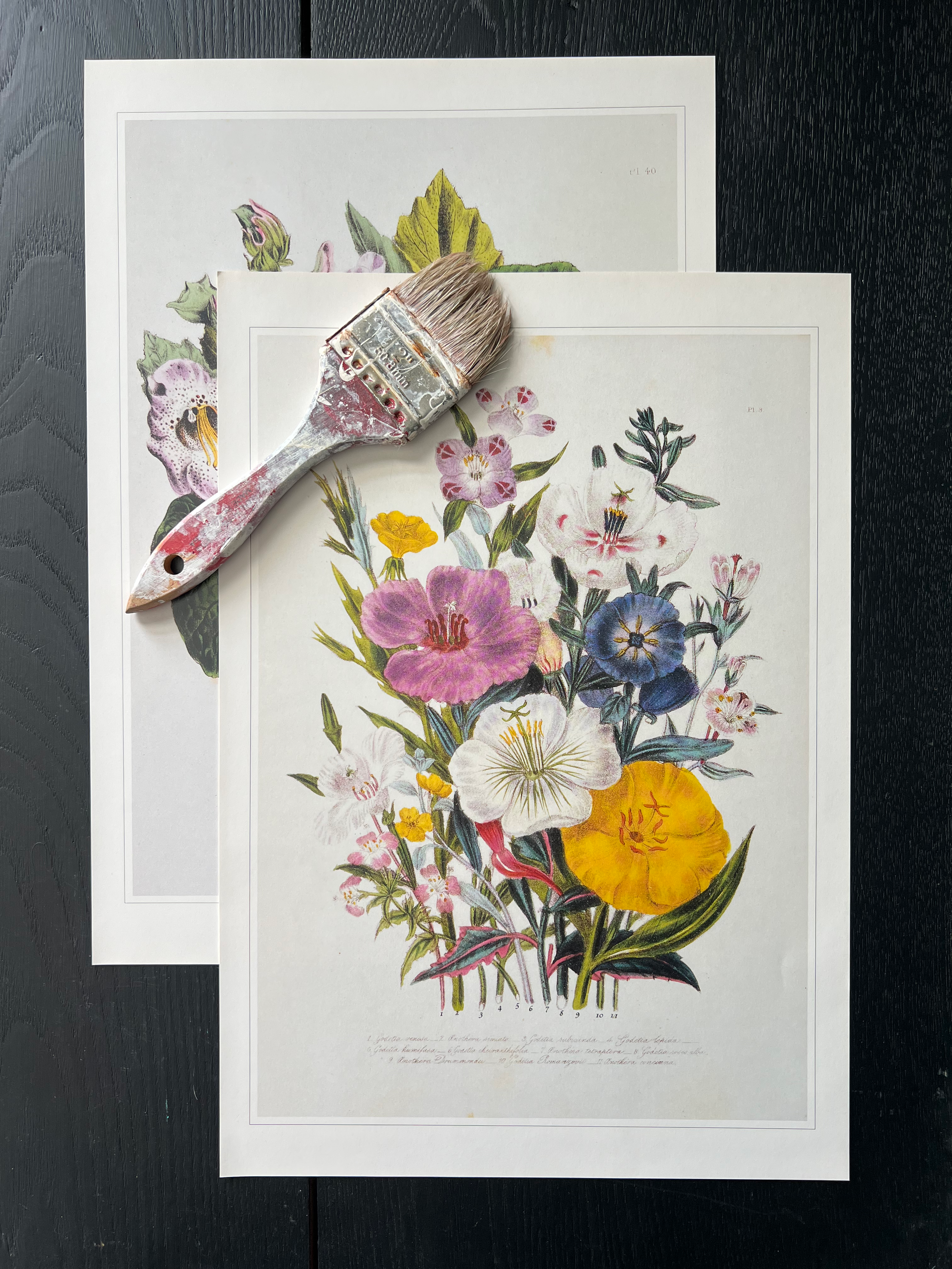 "Ornamental Flower" Print