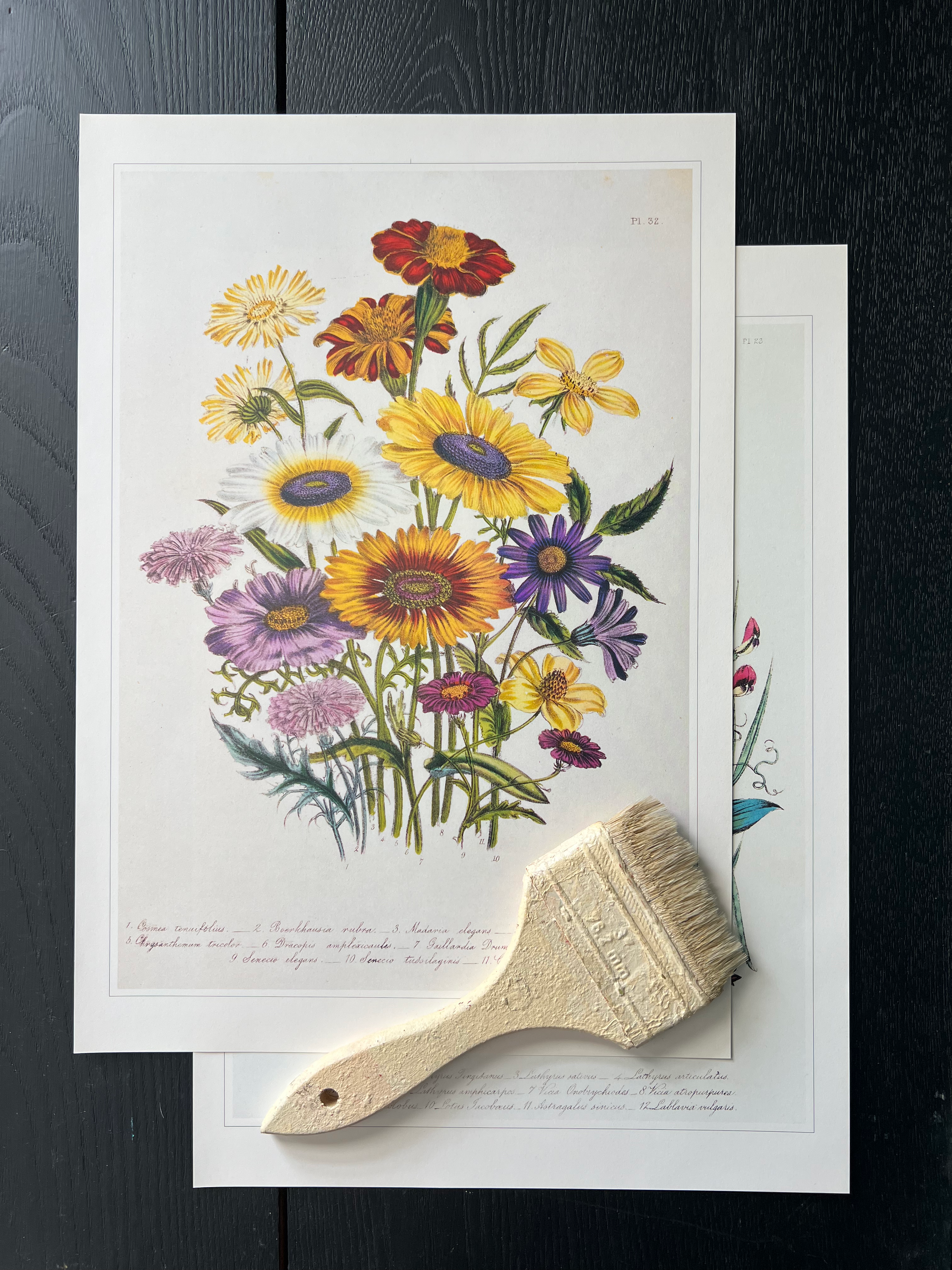 "Ornamental Flower" Print