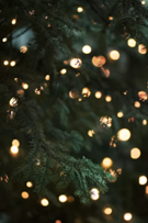 Victorian Yuletide