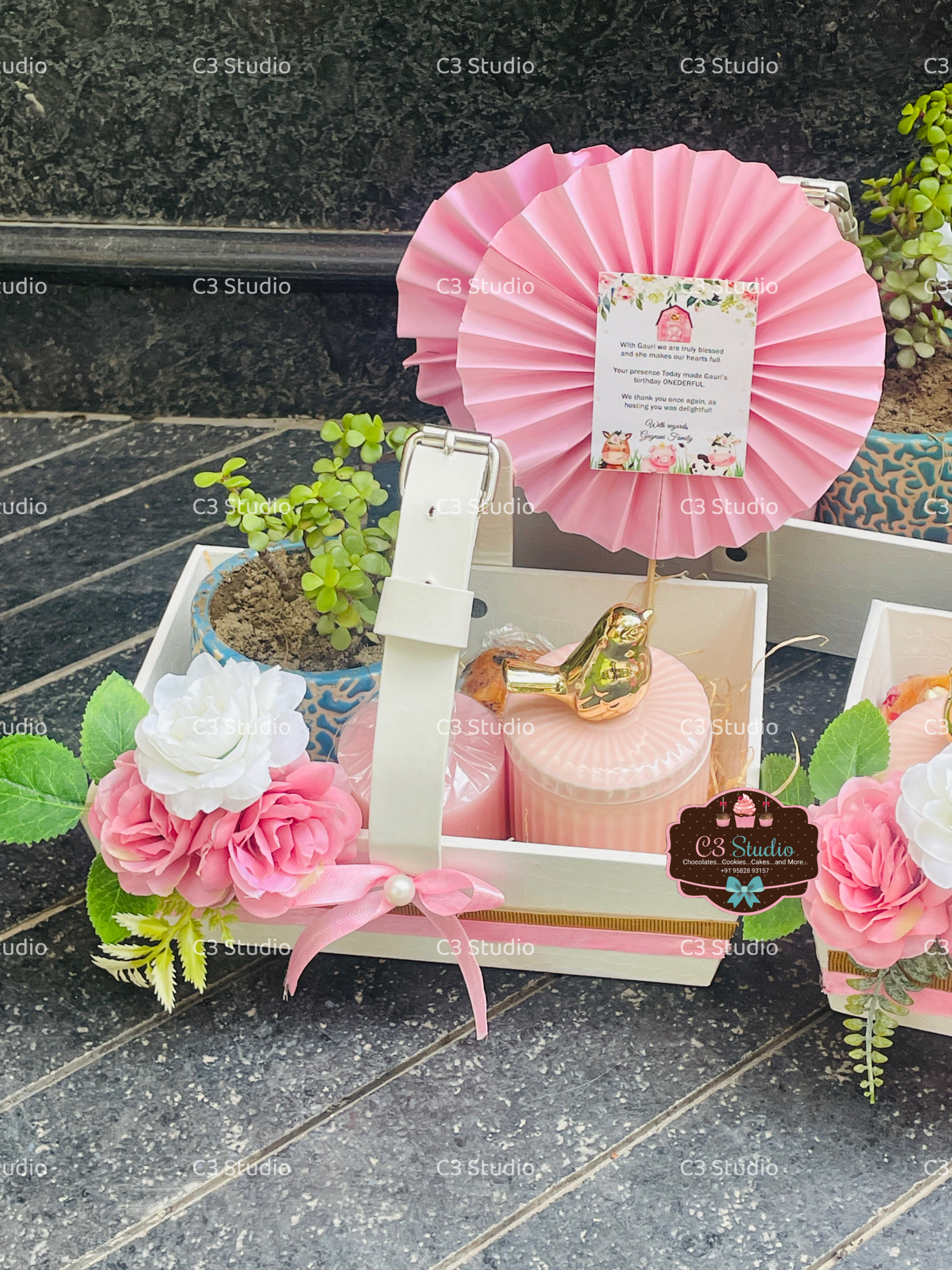 Our Little Adventure