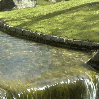 E.M. Forster.gif