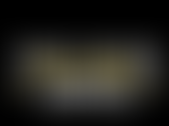 The Export Control & Sanctions Watch Edition 29