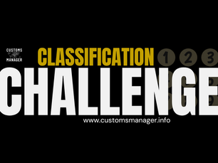 Classification Quiz: Floating Mattress