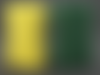 Two cleaning sponges stand upright on a gray background. One is yellow with green scrubber; the other is solid green. No text or action.