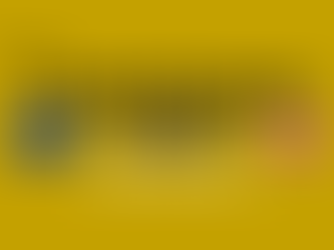 The Customs Watch EU&UK: Edition 33