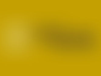 Master Customs Valuation in 90 Minutes!