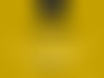 Customs Watch - Edition 11 - 2024