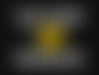 About Customs Manager Ltd.