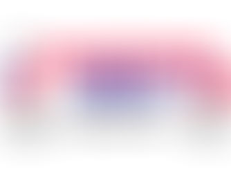 The Customs Watch USA: Edition 27