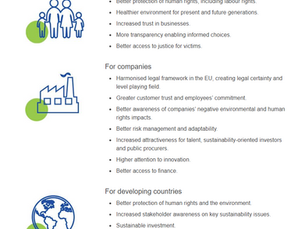 EU: Companies trading globally must respect human rights & environment (Due Dilligence)