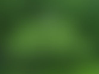 Irish Export Control Act: Key Changes