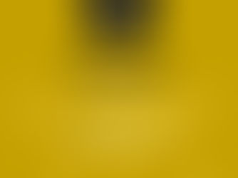 The Customs Watch - Edition 12 - 2024