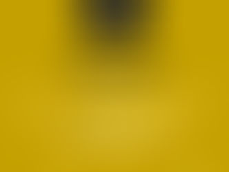 The Customs Watch - Edition 14 - 2024