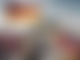 Export Controls: Germany's Compliance Management in Focus