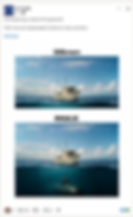 EU Trade post showing 35mm and IMAX boat scenes; IMAX reveals a submarine below the ocean surface, with export-controls text and #EUTrade