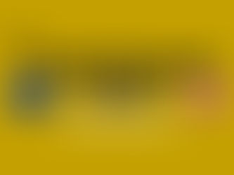 The Customs Watch EU&UK: Edition 32