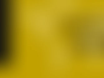 The Customs Watch - Edition 13 - 2024