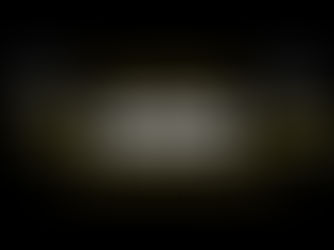 Professional Customs Skills 1 - Event Report