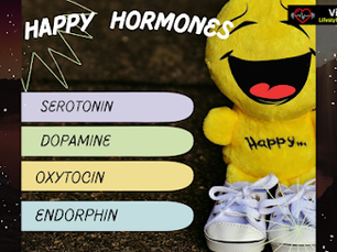 Happy Hormones