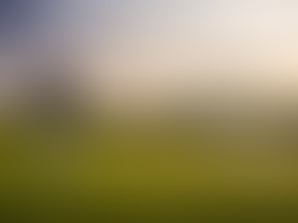 Golf spielen in Hamburg – Tipps & Einstieg