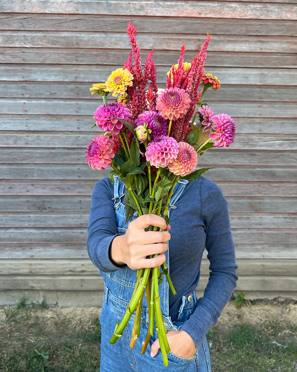 Thumbnail: 4 Week CSA (Bi-Weekly)