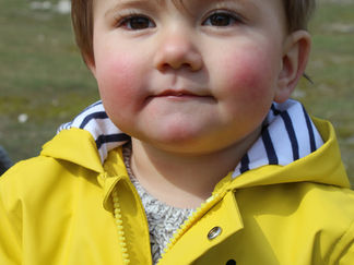 We love the fresh yellow colours of spring. All we need now is some more sunshine. More photos comin