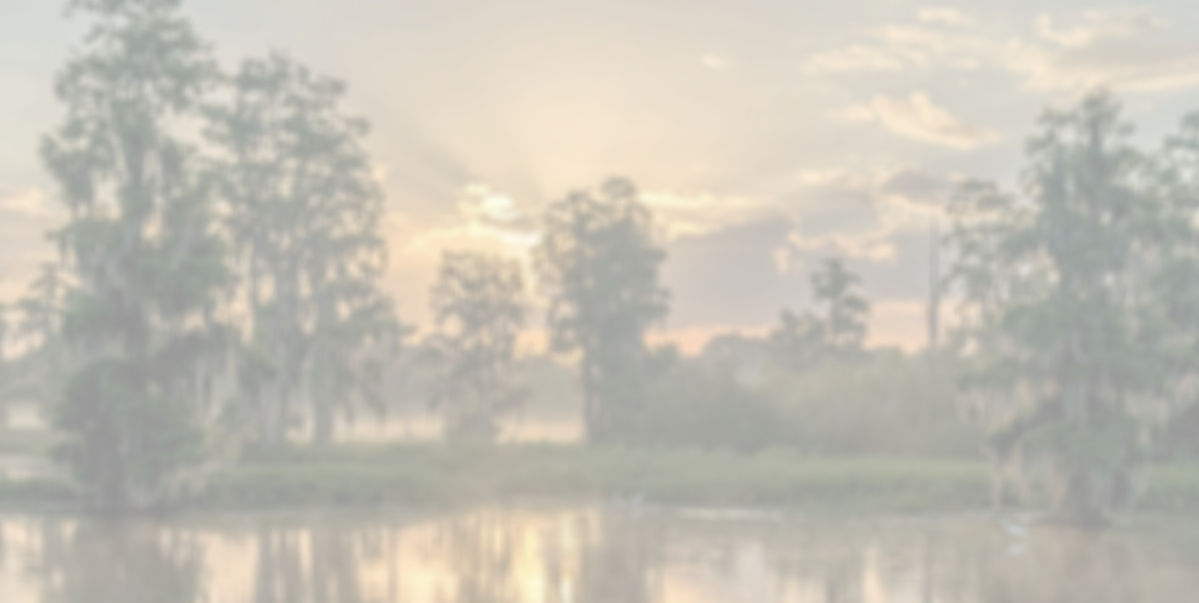 2618a408be57f4f84363a11787668517_edited_edited.jpg