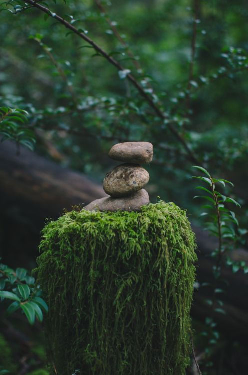 stacked stones in a forest symbolizing balance, stability, and calm