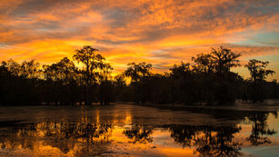 A golden sunset over Lake Martin in Louisiana, with cypress trees and still water reflecting a quiet, grounding moment in nature.