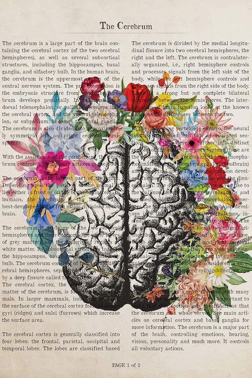 Vintage brain illustration surrounded by colorful flowers, symbolizing neurodiversity, teen mental health, and special education support.