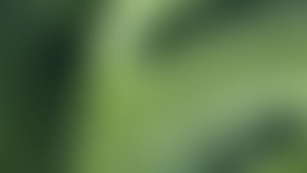 Unlocking Balance Through Somatic Breathwork | The Wellness Grove