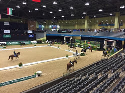 Photo Sep 12, 8 06 34 PM.jpg