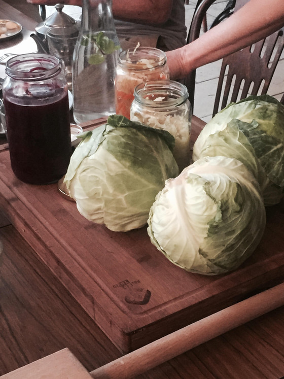 כבישת ירקות – דרך נפלאה לקבל פרוביוטיקה מן הטבע