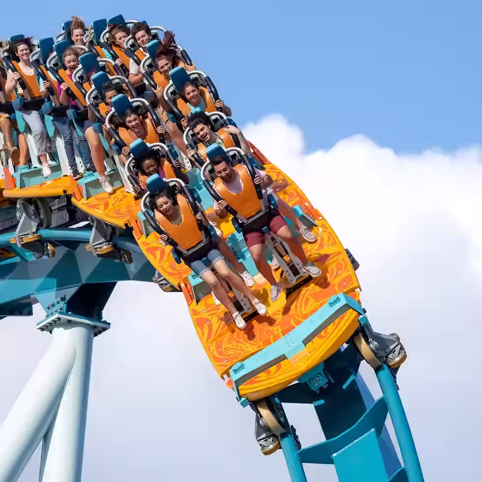 orlando roller coaster.avif