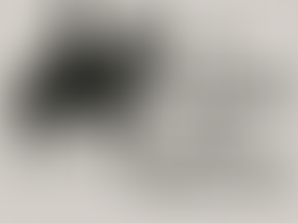 Tarcísio de Freitas: o escolhido do mercado