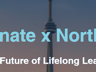 The Illuminated Experience