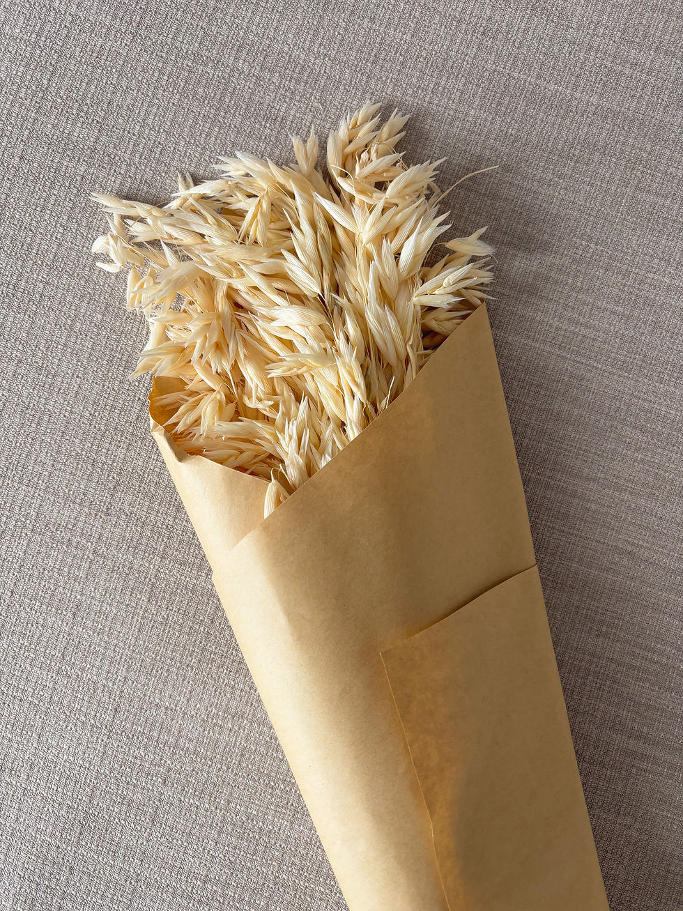 Miniaturbild: Getrockneter Hafer Trockenblumen 50 Stück