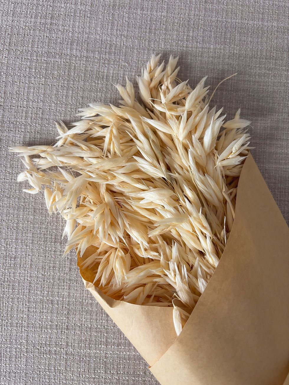 Miniaturbild: Getrockneter Hafer Trockenblumen 50 Stück